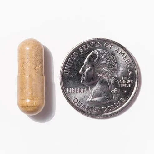Core Iron Free Bariatric Multivitamin - Image 8